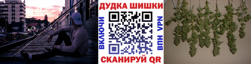 как найти наркотики  Белая Холуница  Бошки марихуана индика 